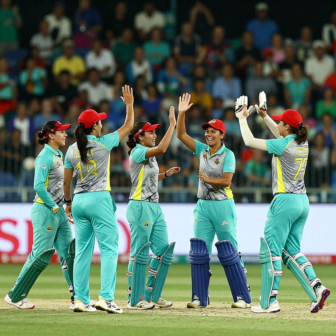 Empty Input, Loaded Label: When Cricket Analysis Loses the Cricket